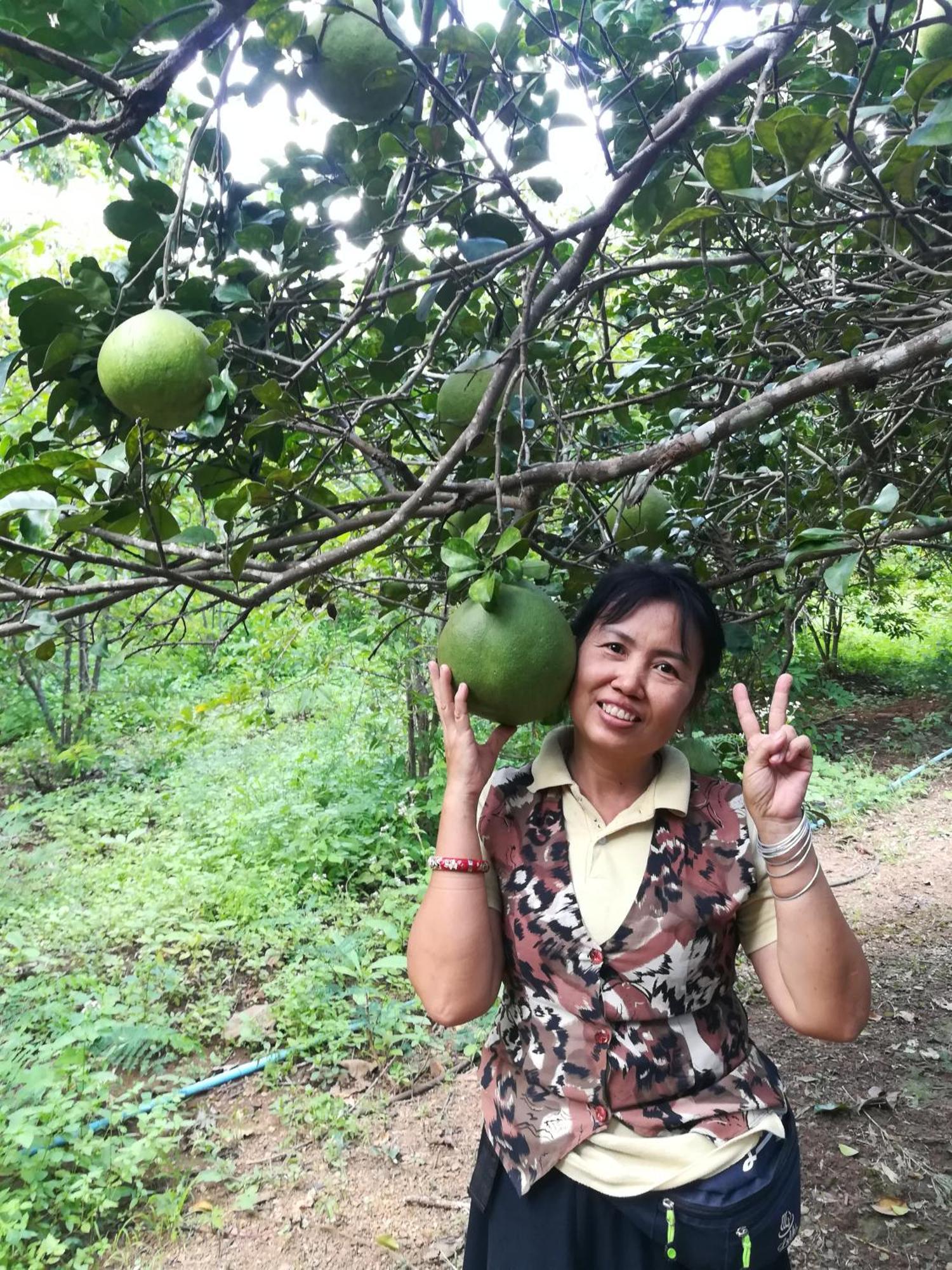 Ban Huai Maenam Noi Star View Gardenヴィラ エクステリア 写真