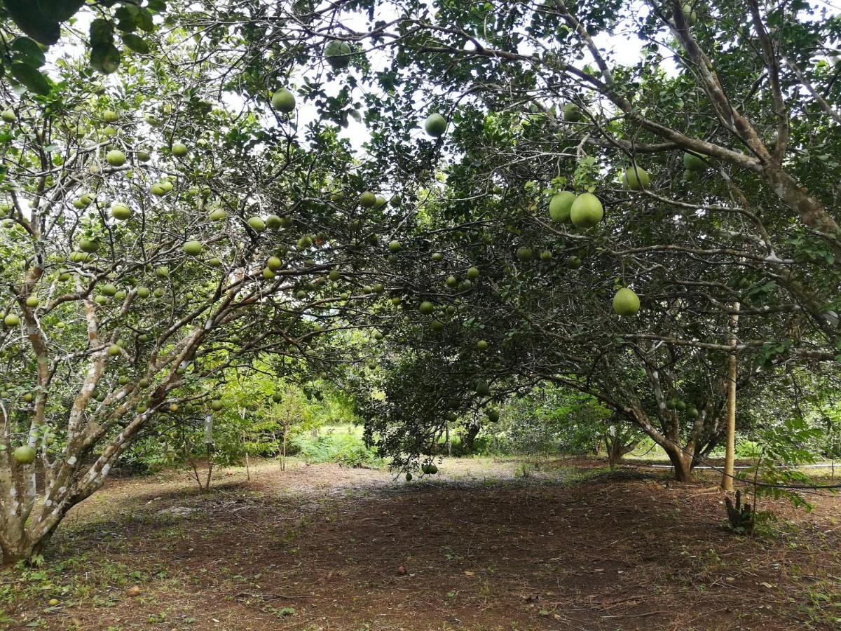 Ban Huai Maenam Noi Star View Gardenヴィラ エクステリア 写真